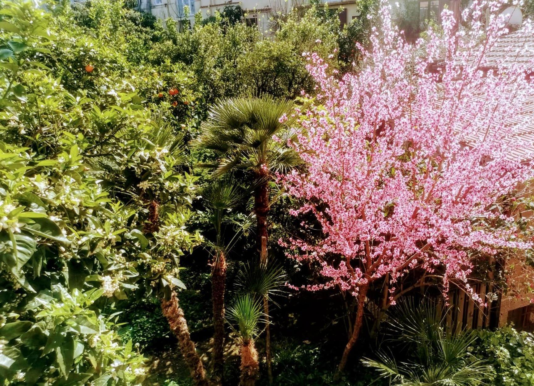 Casa Luisa Sorrento Apartment ภายนอก รูปภาพ