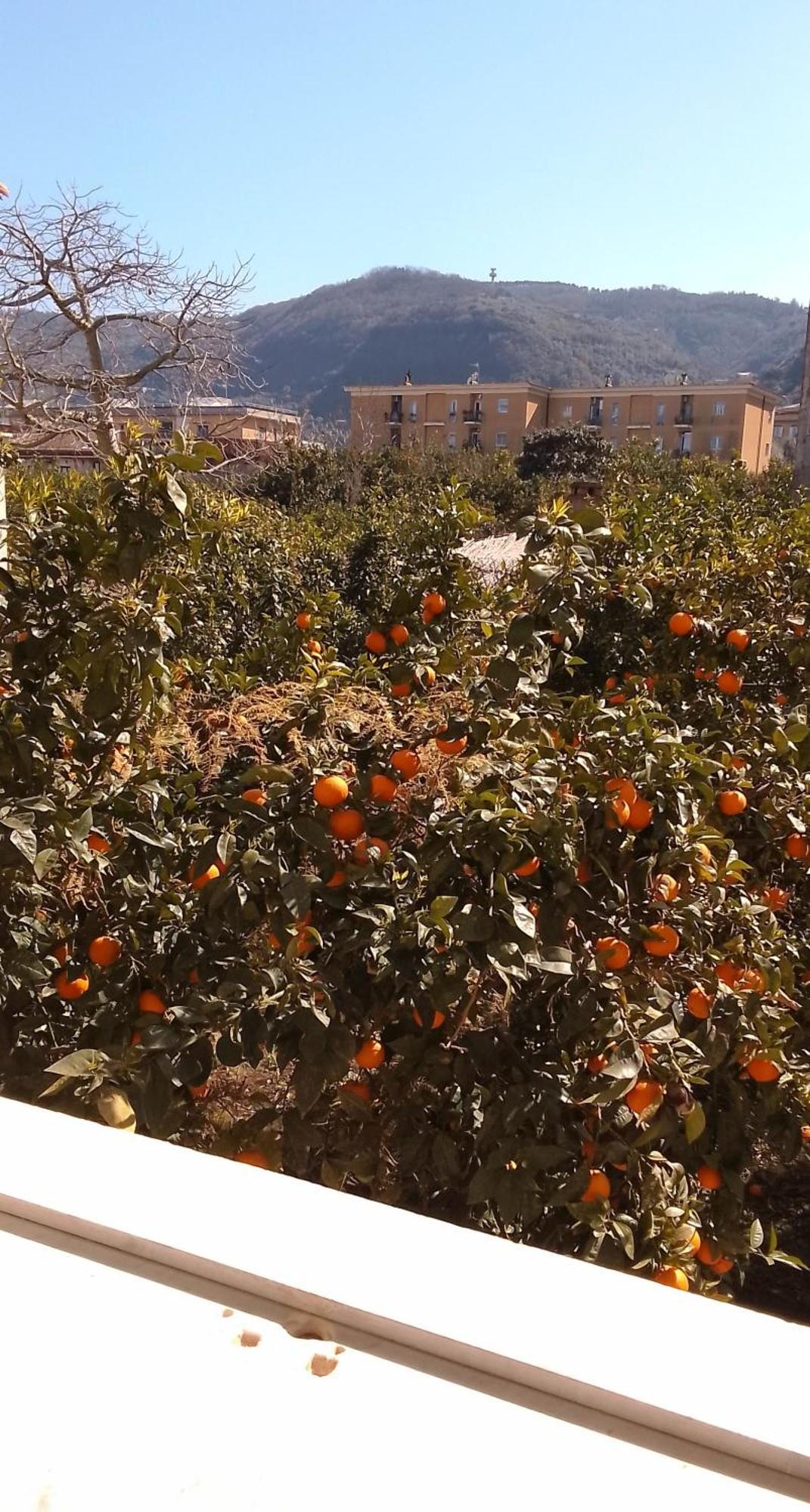 Casa Luisa Sorrento Apartment ภายนอก รูปภาพ